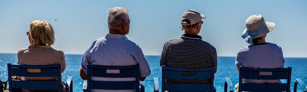 Dutch pension System